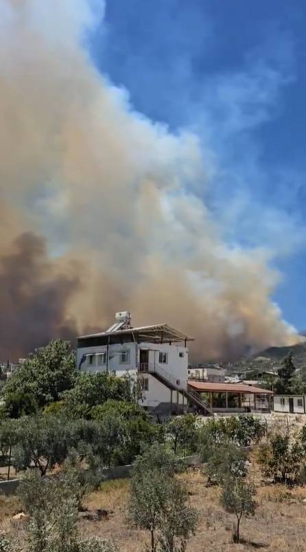 Hatay alev alev: Yangın evlere ulaştı 8